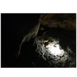 LEDLENSER ML4 營燈